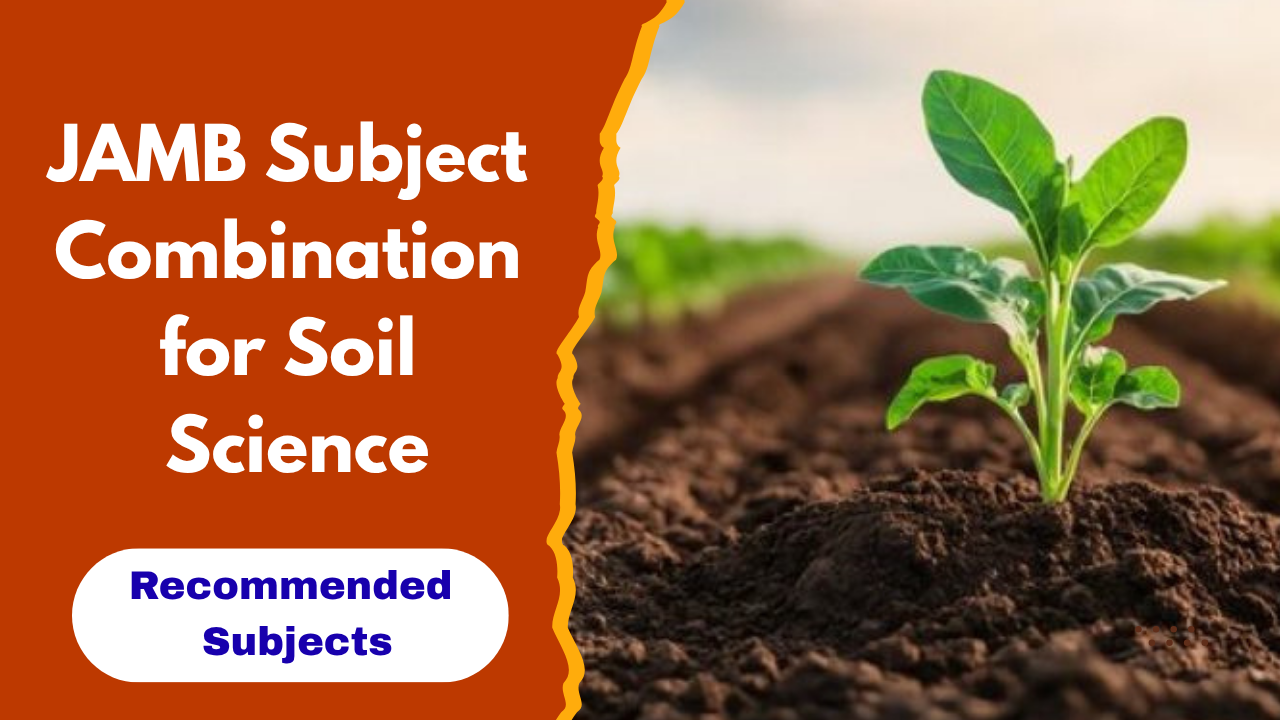 JAMB Subject Combination for Soil Science