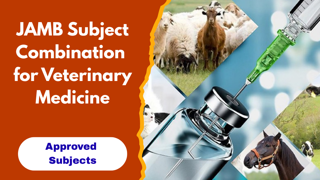 JAMB Subject Combination for Veterinary Medicine